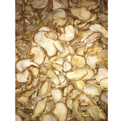 Buy Dried Lion’s Mane Mushrooms Online