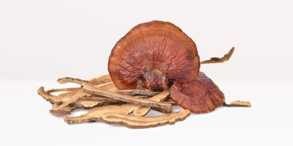 reishi mushrooms for sale online